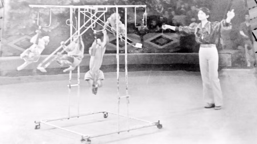 Sau tai nạn, nghệ sĩ Đặng Đức Đào huấn luyện xiếc khỉ nhưng trong ông vẫn không nguôi nỗi nhớ những tháng ngày huấn luyện xiếc gấu. Ảnh: NVCC.