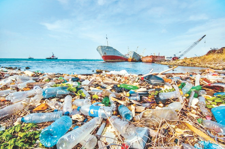 Các chính phủ quốc gia ở Đông Nam Á cần tăng cường hợp tác khu vực nhằm bảo vệ môi trường. Ảnh: vietnamplus Các chính phủ quốc gia ở Đông Nam Á cần tăng cường hợp tác khu vực nhằm bảo vệ môi trường. Ảnh: vietnamplus