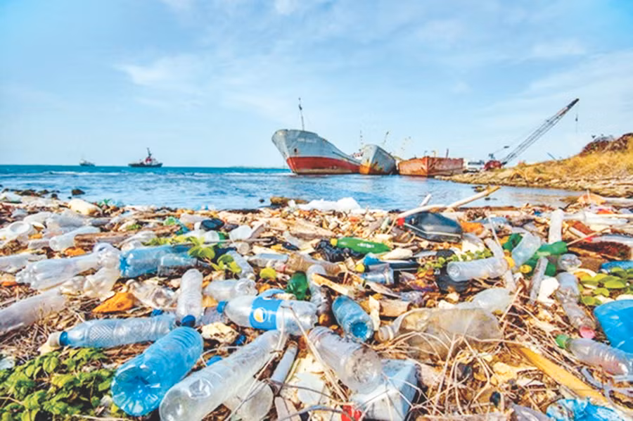 Các chính phủ quốc gia ở Đông Nam Á cần tăng cường hợp tác khu vực nhằm bảo vệ môi trường. Ảnh: vietnamplus