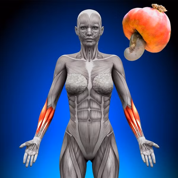 8 loại thực phẩm, đồ uống tăng cường sức khỏe phụ nữ ảnh 5 7 thuc pham chi em cang an cang dep lai ngua duoc benh viem nhiem phu khoa - 6