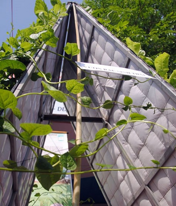 Chi 336.000 đồng để có vườn treo trồng được 180 cây rau đẹp mê mẩn chi 336000 dong de co vuon treo trong duoc 180 cay rau dep me man 5