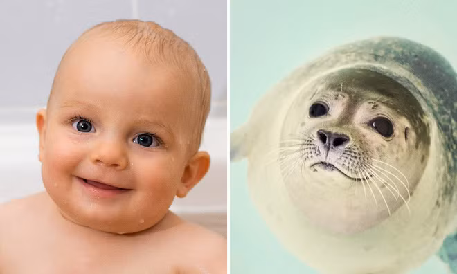 Loạt ảnh hài hước cho thấy trẻ con và động vật là cặp trời sinh đáng yêu thế này - Ảnh 6.