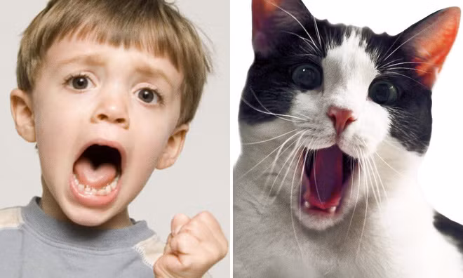 Loạt ảnh hài hước cho thấy trẻ con và động vật là cặp trời sinh đáng yêu thế này - Ảnh 8.