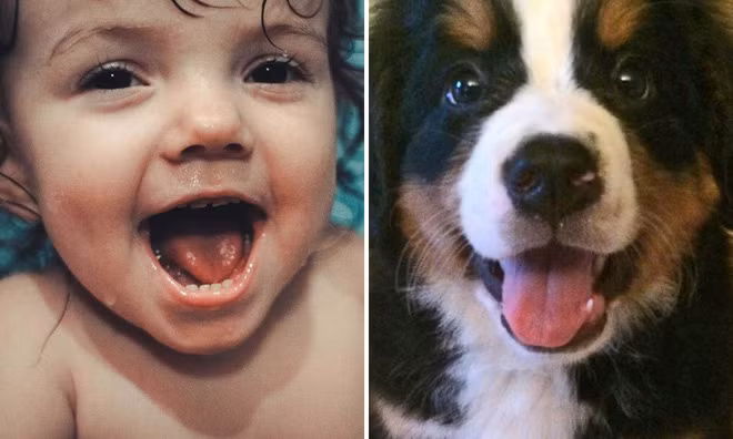 Loạt ảnh hài hước cho thấy trẻ con và động vật là cặp trời sinh đáng yêu thế này - Ảnh 1.