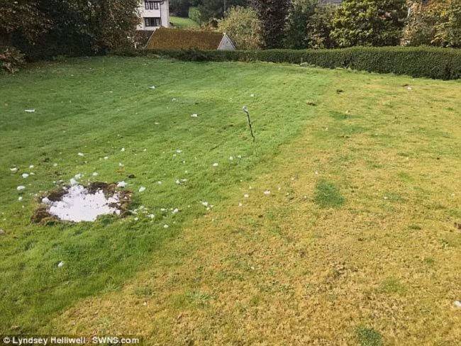 Nghe thấy tiếng nổ lớn ngoài vườn, gia đình chạy ra xem và chứng kiến cảnh tượng kỳ lạ - Ảnh 2.