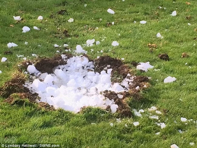 Nghe thấy tiếng nổ lớn ngoài vườn, gia đình chạy ra xem và chứng kiến cảnh tượng kỳ lạ - Ảnh 3.