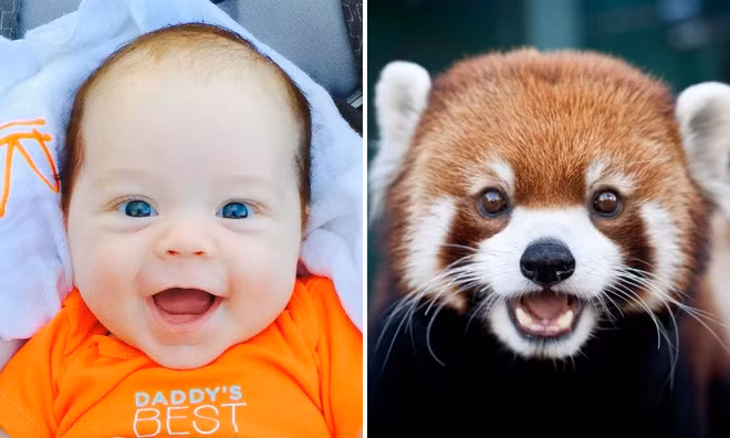 Loạt ảnh hài hước cho thấy trẻ con và động vật là cặp trời sinh đáng yêu thế này - Ảnh 15.