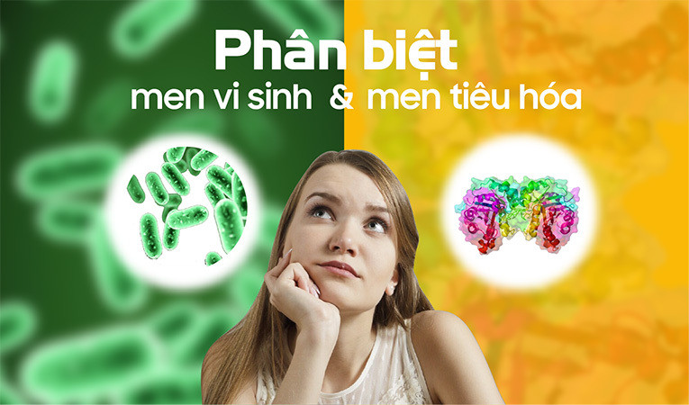 Cần phân biệt men vi sinh và men tiêu hóa để dùng cho đúng.