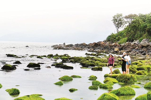 Ghềnh Nam Ô được tách ra khỏi dự án Khu du lịch sinh thái Nam Ô để bảo tồn khu vực sinh thái cộng đồng Ghềnh Nam Ô được tách ra khỏi dự án Khu du lịch sinh thái Nam Ô để bảo tồn khu vực sinh thái cộng đồng