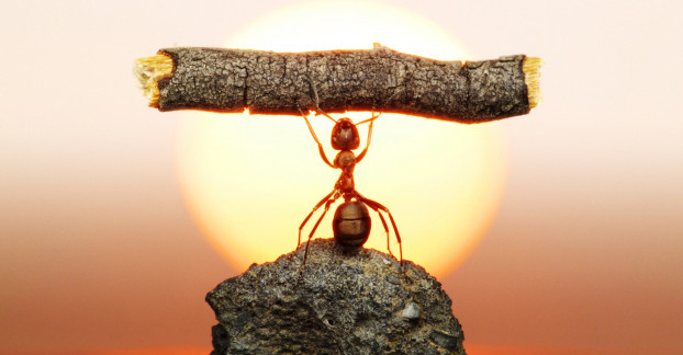 Ngẫm: Hóa ra mọi việc trong cuộc sống thật đơn giản, chỉ cần... 1