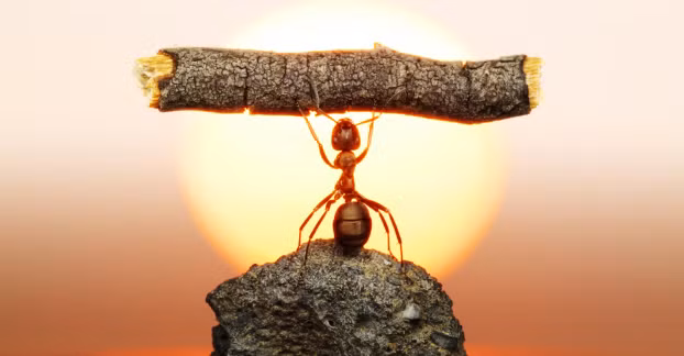 Ngẫm: Hóa ra mọi việc trong cuộc sống thật đơn giản, chỉ cần... 1