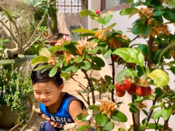 Ngắm khu vườn mini xanh mát nơi góc ban công nhỏ của ca sĩ Mỹ Lệ