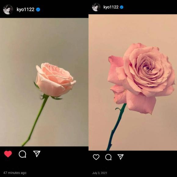 Hai năm liền vào tháng 7, Hye Kyo chia sẻ hình ảnh bồng hồng.