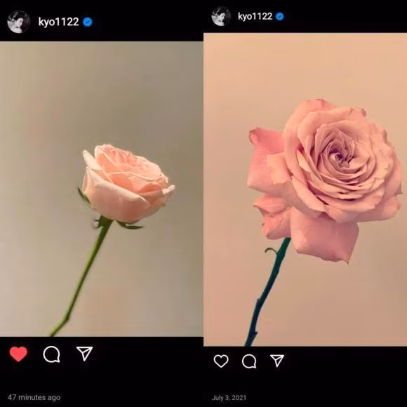 Hai năm liền vào tháng 7, Hye Kyo chia sẻ hình ảnh bồng hồng.