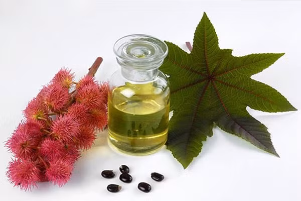 6-loi-ich-cua-dau-thau-dau-doi-voi-sac-dep-va-suc-khoe-2