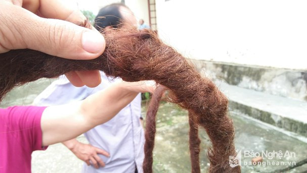 Cụ bà người Mông 94 tuổi ở Nghệ An có mái tóc dài gần 4m ảnh 2