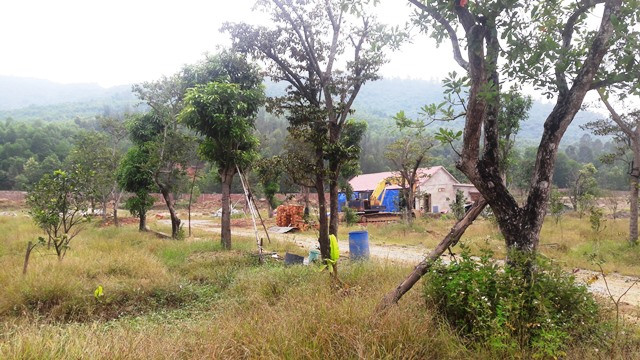 Trồng cây hoa quả.