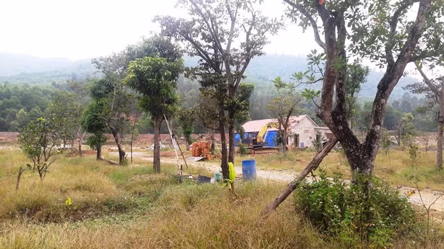 Trồng cây hoa quả.