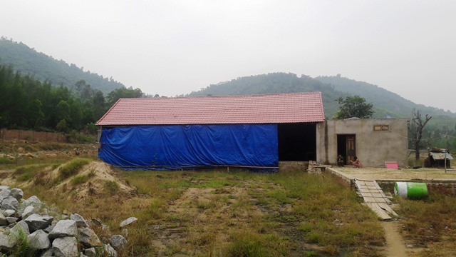 Xây dựng móng, nhà gỗ trên diện tích đất.