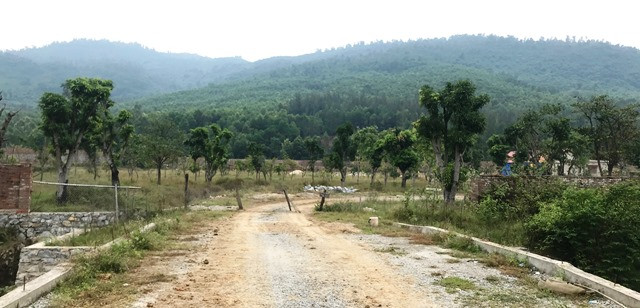 Tổng thể khu trang trại