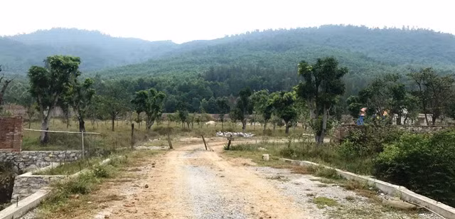 Tổng thể khu trang trại