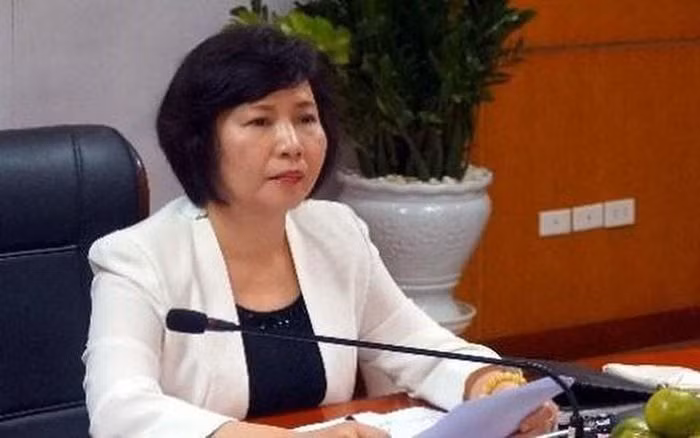 Bà Hồ Thị Kim Thoa, nguyên Ủy viên Ban cán sự đảng, nguyên Thứ trưởng Bộ Công Thương.