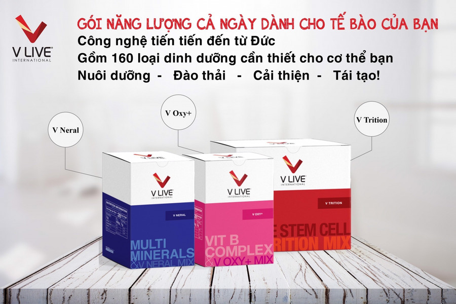 Sản phẩm của Công ty Wise Corridor Việt Nam.