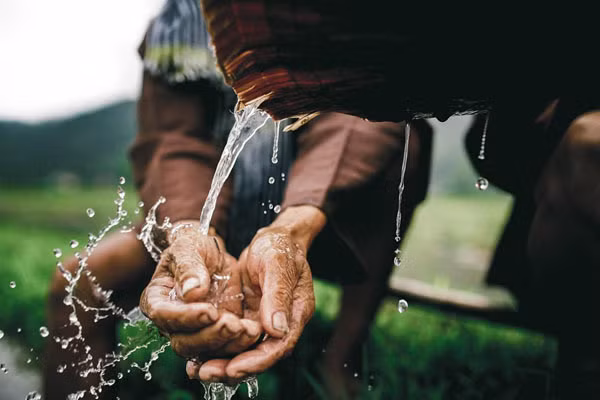 Quà cưới của cụ ông 73 tuổi và vợ hai sau hơn 20 năm ngày cưới ảnh 2 Quà cưới của cụ ông 73 tuổi và vợ hai sau hơn 20 năm ngày cưới