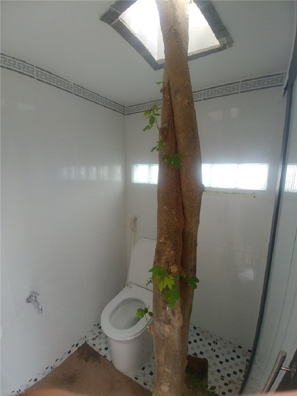 Những nhà vệ sinh có "1-0-2" ảnh 3 Vừa đi WC vừa hòa mình vào thiên nhiên