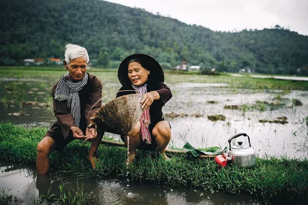 Quà cưới của cụ ông 73 tuổi và vợ hai sau hơn 20 năm ngày cưới ảnh 4 Quà cưới của cụ ông 73 tuổi và vợ hai sau hơn 20 năm ngày cưới