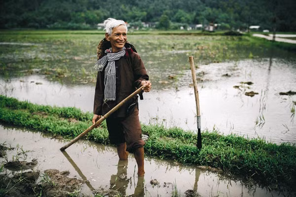 Quà cưới của cụ ông 73 tuổi và vợ hai sau hơn 20 năm ngày cưới ảnh 1 Quà cưới của cụ ông 73 tuổi và vợ hai sau hơn 20 năm ngày cưới