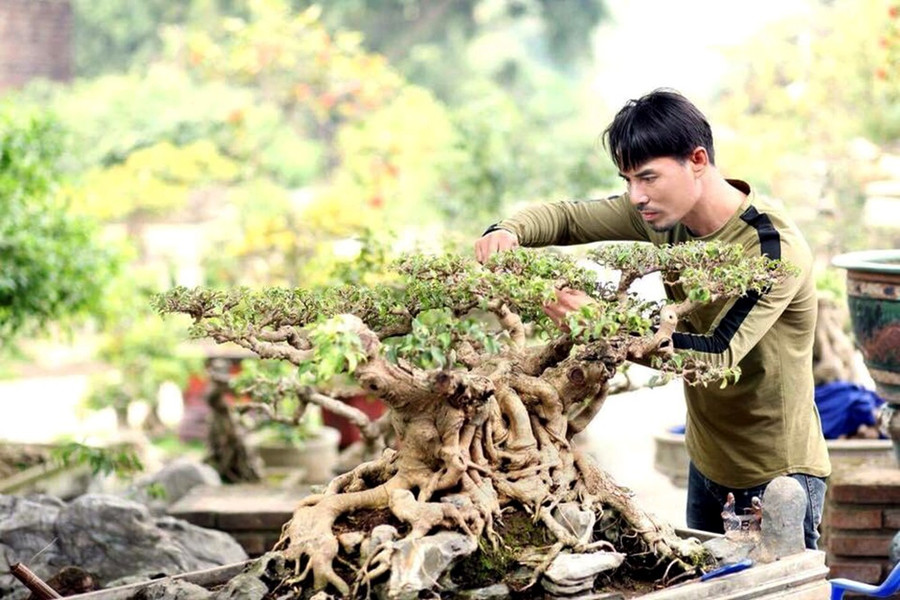 Anh Nguyễn Văn Chí đã gắn bó với nghề kinh doanh cây cảnh hơn 20 năm nay Keyword đầu tiên có dấu