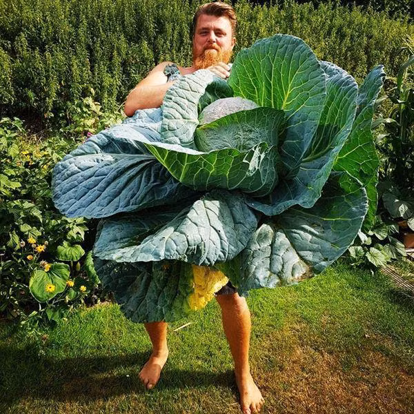 nhung loai rau cu khong lo tuong nhu chi co trong phim anh nhung co that ngoai doi - 15