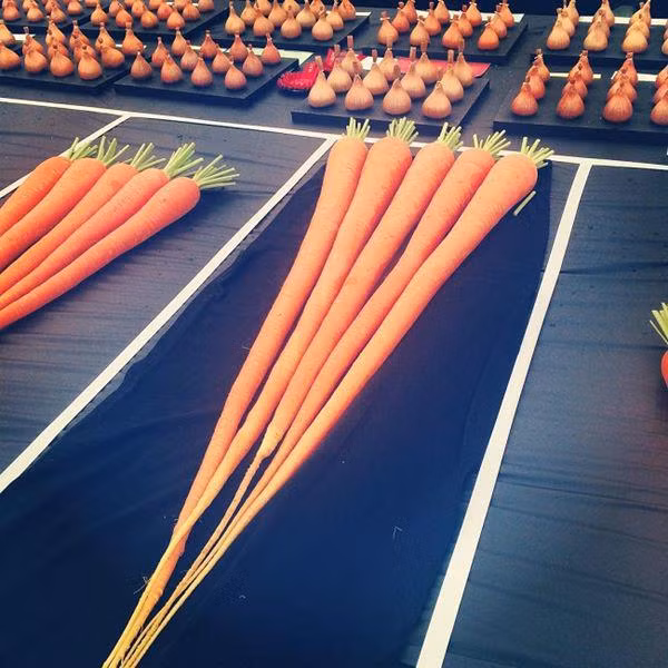 nhung loai rau cu khong lo tuong nhu chi co trong phim anh nhung co that ngoai doi - 8