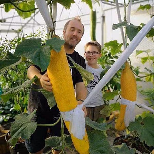 nhung loai rau cu khong lo tuong nhu chi co trong phim anh nhung co that ngoai doi - 7