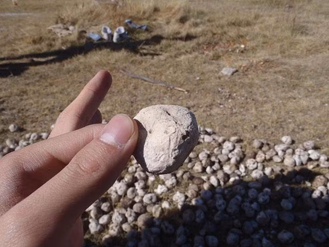 mon an nhin nhu cuc da, muon thuong thuc phai dung chan giam dap - 5