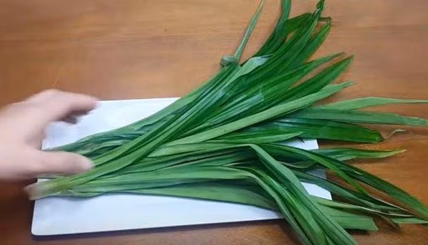 Cách nấu nước nha đam ngon mát, thanh nhiệt cho mùa hè