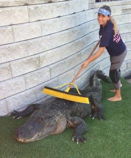 Việc nhẹ lương cao.