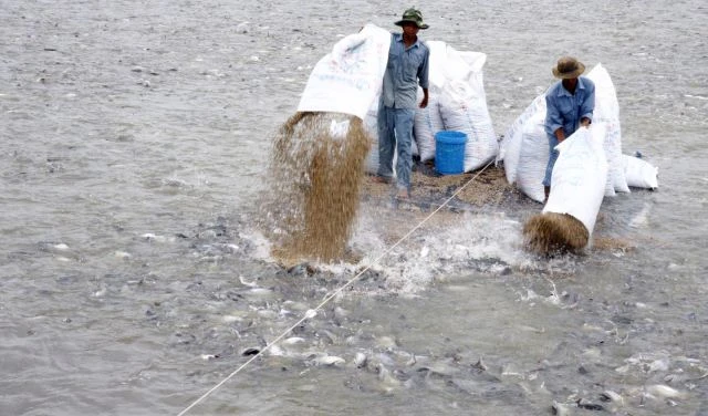 Nuôi trồng thủy sản đang mở ra cơ hội cho lao động trẻ