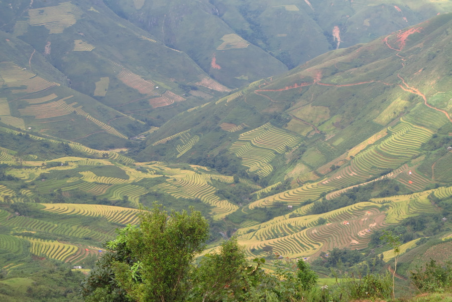 Đường đi Tà Xùa