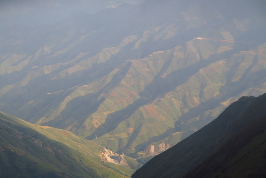 Sống lưng Khủng long