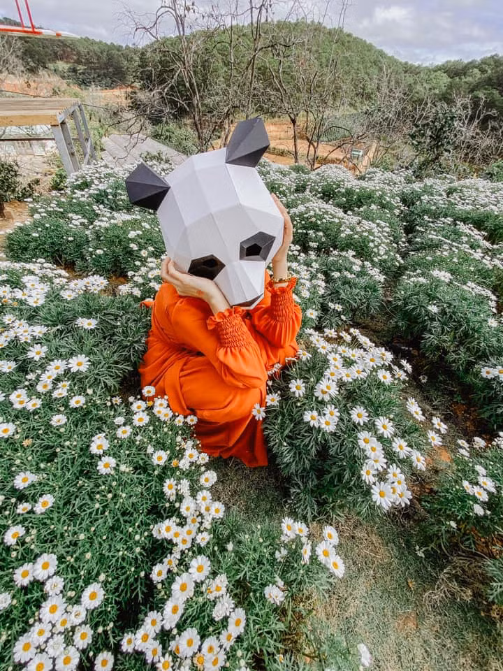 Khi bạn không đẹp thì phải... độc ảnh 1