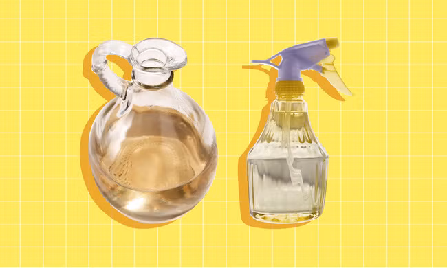 Những vật dụng chứa cả "ổ" vi khuẩn trong nhà và cách làm sạch đơn giản không ngờ - Ảnh 3.