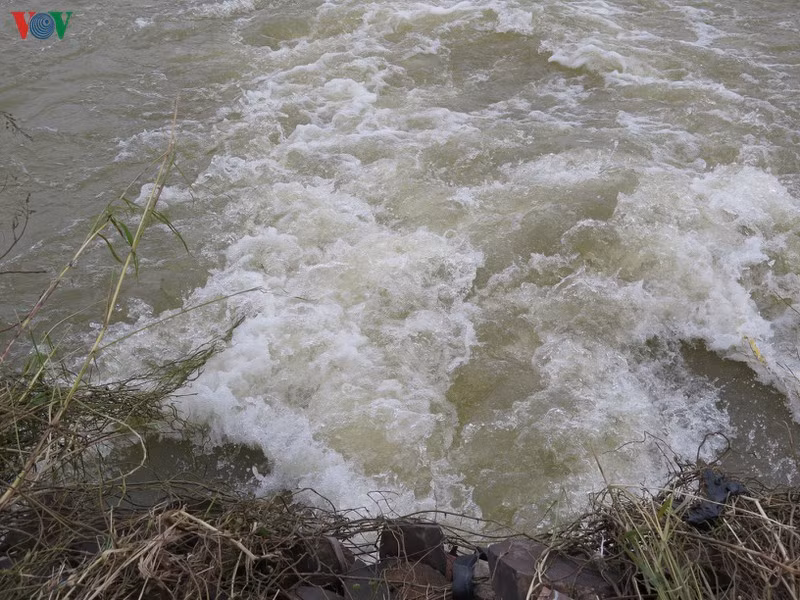 vu duoi nuoc tren song tra khuc: nhung cai chet duoc bao truoc hinh 8