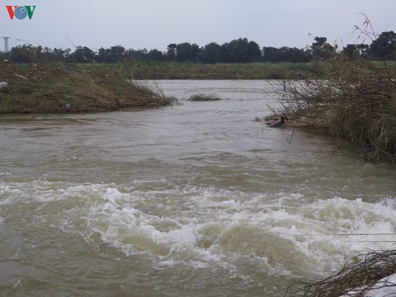 vu duoi nuoc tren song tra khuc: nhung cai chet duoc bao truoc hinh 9