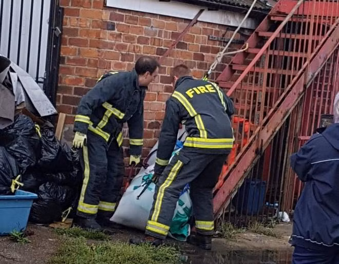 Lính cứu hỏa giải cứu Wiglet khỏi căn hộ. Ảnh: SWNS.