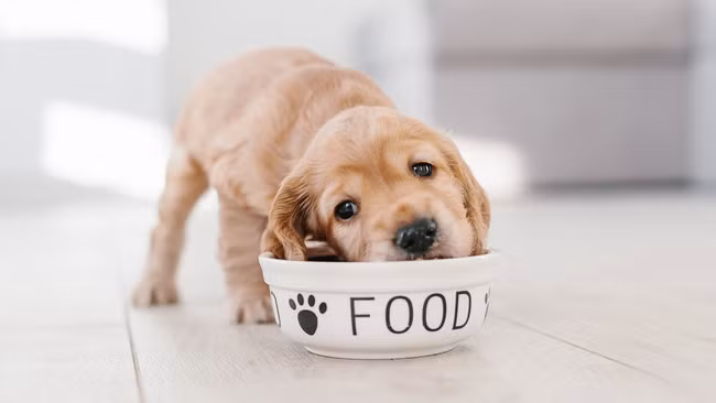 Những vật dụng chứa cả "ổ" vi khuẩn trong nhà và cách làm sạch đơn giản không ngờ - Ảnh 4.