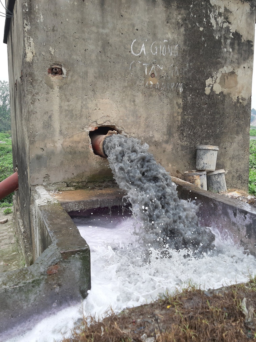 Các chỉ số độc tố nước sông Ngũ Huyện Khê đều vượt ngưỡng nhiều lần Các chỉ số độc tố nước sông Ngũ Huyện Khê đều vượt ngưỡng nhiều lần