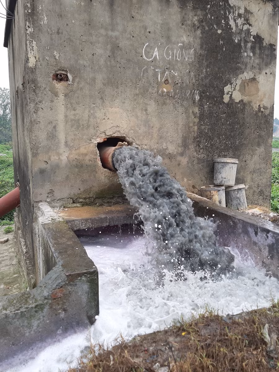 Các chỉ số độc tố nước sông Ngũ Huyện Khê đều vượt ngưỡng nhiều lần