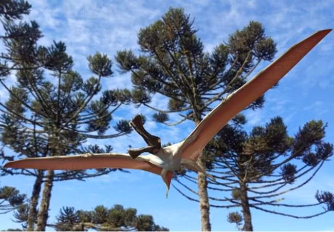 Loài thằn lằn bay thuộc dòng Pterizard. (Ảnh: nationalgeographic.com)